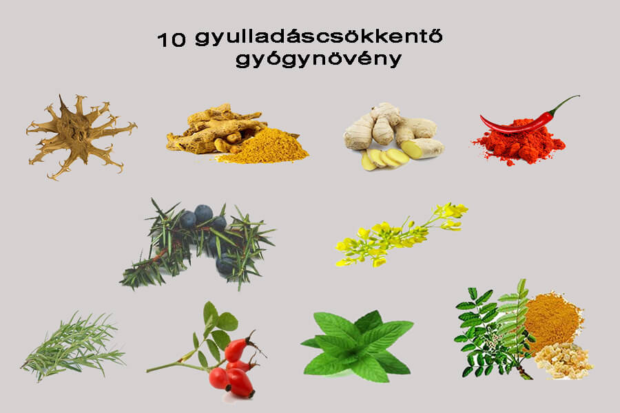 ízületi gyulladásra gyógynövények